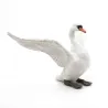 Cygne blanc PAPO 50115