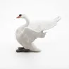 Cygne blanc PAPO 50115