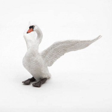 Cygne blanc PAPO 50115