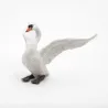 Cygne blanc PAPO 50115