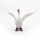 Cygne blanc PAPO 50115