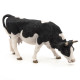 Vache noire et blanche broutant, PAPO 51150