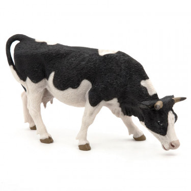 Vache noire et blanche broutant, PAPO 51150