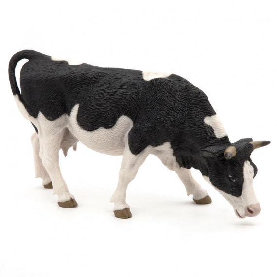 Vache noire et blanche broutant, PAPO 51150