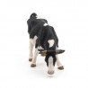 Vache noire et blanche broutant, PAPO 51150