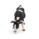 Vache noire et blanche broutant, PAPO 51150