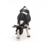 Vache noire et blanche broutant, PAPO 51150