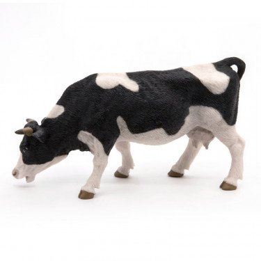 Vache noire et blanche broutant, PAPO 51150