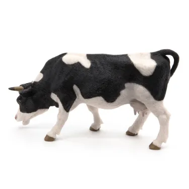 Vache noire et blanche broutant, PAPO 51150