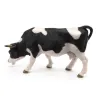 Vache noire et blanche broutant, PAPO 51150