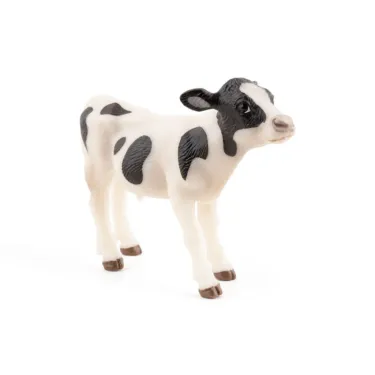 Veau noir et blanc, PAPO 51149