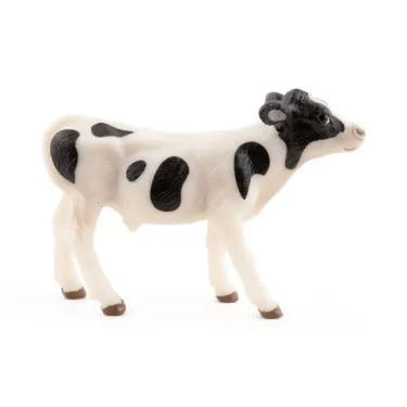 Veau noir et blanc, PAPO 51149