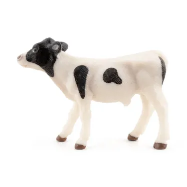 Veau noir et blanc, PAPO 51149