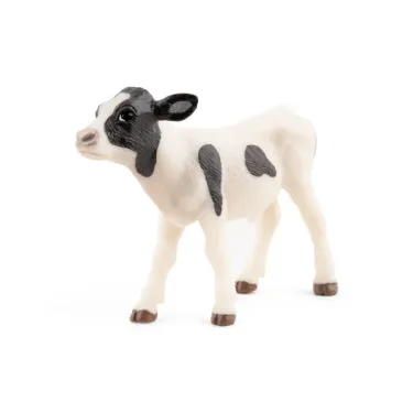 Veau noir et blanc, PAPO 51149