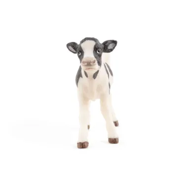 Veau noir et blanc, PAPO 51149