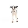 Veau noir et blanc, PAPO 51149