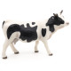 Vache noire et blanche, PAPO 51148