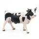 Vache noire et blanche, PAPO 51148