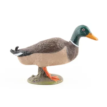 canard colvert PAPO 51155