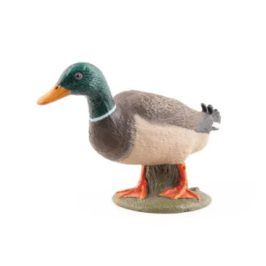 canard colvert PAPO 51155