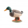 canard colvert PAPO 51155