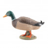 canard colvert PAPO 51155