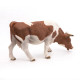 Vache simmental broutant, figurine PAPO 51147