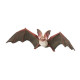 Chauve-souris, figurine PAPO 50239