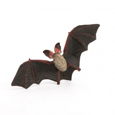 Chauve-souris, figurine PAPO 50239