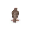 Rouge-gorge, figurine PAPO 50275