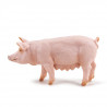 Truie, figurine PAPO 51188