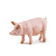 Truie, figurine PAPO 51188