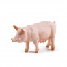 Truie, figurine PAPO 51188