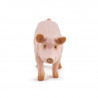 Truie, figurine PAPO 51188