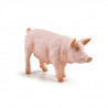 Truie, figurine PAPO 51188