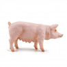 Truie, figurine PAPO 51188