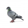 Pigeon, figurine d'oiseau PAPO 50295