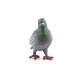 Pigeon, figurine d'oiseau PAPO 50295