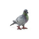 Pigeon, figurine d'oiseau PAPO 50295