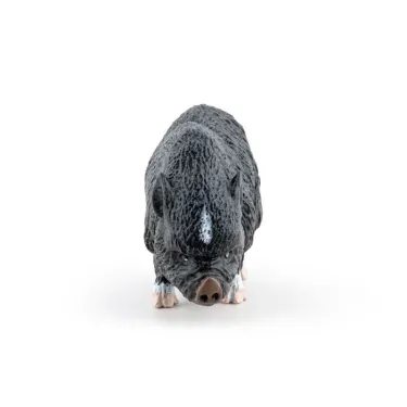 Cochon vietnamien, figurine PAPO 51190