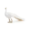 Paon blanc, figurine PAPO 51192