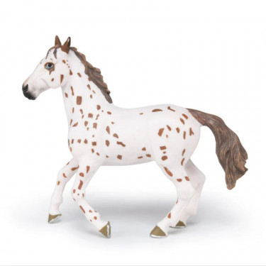 Jument apaloosa cheval PAPO 51509