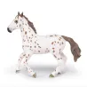 Jument apaloosa cheval PAPO 51509