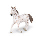 Jument apaloosa cheval PAPO 51509