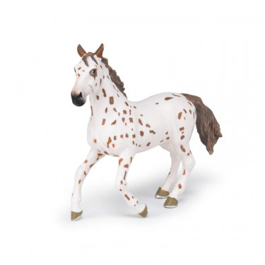 Jument apaloosa cheval PAPO 51509
