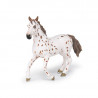 Jument apaloosa cheval PAPO 51509