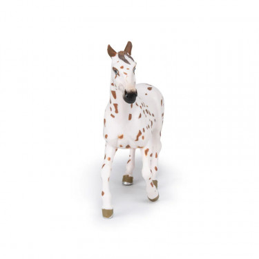Jument apaloosa cheval PAPO 51509