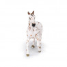 Jument apaloosa cheval PAPO 51509