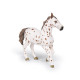 Jument apaloosa cheval PAPO 51509