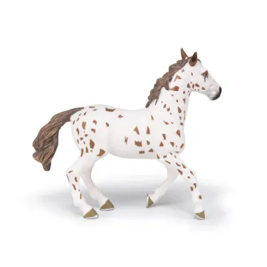 Jument apaloosa cheval PAPO 51509